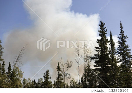 山火事の煙が立ち上るカナダの森／Thick Smoke Rising from a Forest W 132220105