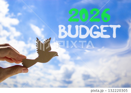 2026 Budget symbol. Concept words 2026 Budget on beautiful blue sky. Beautiful blue sky background. Businessman's hand holds wooden bird. Business and 2026 budget concept. Copy space. 2026 Budget symbol. Concept words 2026 Budget on beautiful blue sky. Beautiful blue sky background. Businessman's hand holds wooden bird. Business and 2026 budget concept. Copy space. 132220305