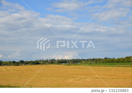 Rural outback in August - a village surrounded by fields, Russia, Central Black Earth Region Rural outback in August - a village surrounded by fields, Russia, Central Black Earth Region 132220863