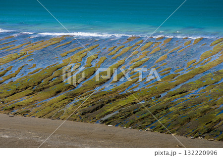 Stone shoal at low tide, Caleta Valdes, Peninsula Valdes, Patagonia, Argentina 132220996