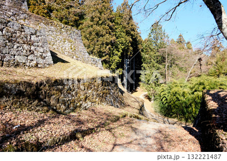 岐阜県恵那市_岩村城7_2025年1月 132221487