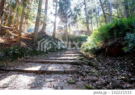 岐阜県恵那市_岩村城までの山道8_2025年1月 132221533