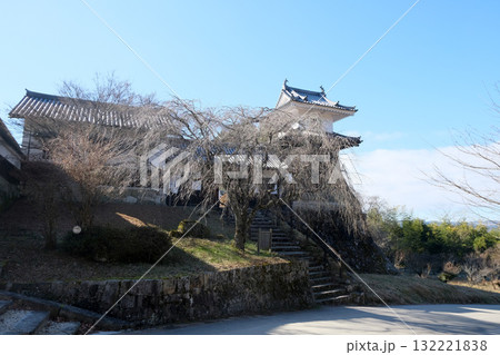 岐阜県恵那市_岩村城太鼓櫓6_2025年1月 132221838