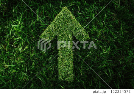 A green arrow is made out of grass on a green field 132224572