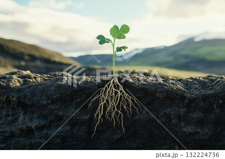 Green Seedling Emerging from Dark Soil Against Beautiful Natural Landscape 132224736