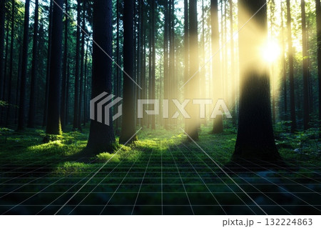 Sunlight Streams Through Lush Forest Creating Ethereal Atmosphere with Grid Overlay Sunlight Streams Through Lush Forest Creating Ethereal Atmosphere with Grid Overlay 132224863