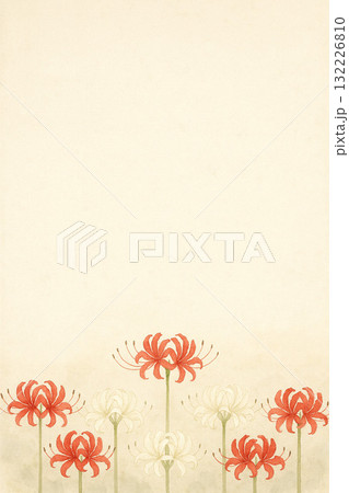 彼岸花シリーズ:赤と白の彼岸花 彼岸花シリーズ:赤と白の彼岸花 132226810