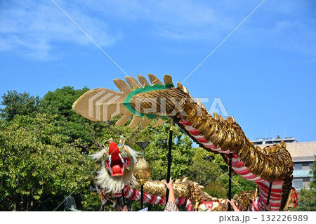 浅草寺の金龍の舞 東京 浅草寺の金龍の舞 東京 132226989
