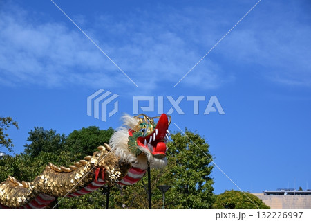 浅草寺の金龍の舞 東京 浅草寺の金龍の舞 東京 132226997