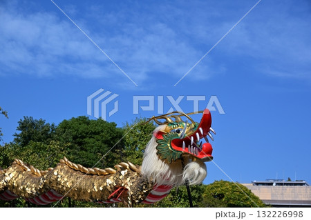 浅草寺の金龍の舞　東京 132226998