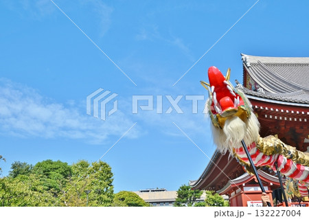 浅草寺の金龍の舞 東京 浅草寺の金龍の舞 東京 132227004