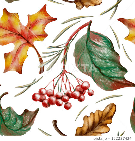 Mushrooms,maple,oak and viburnum foliage,berries,wheat sprigs and pine needles in a autumn seamless pattern.Hand drawn wildlife illustration for decorating cards isolated on transparent background 132227424