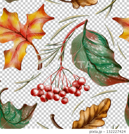 Mushrooms,maple,oak and viburnum foliage,berries,wheat sprigs and pine needles in a autumn seamless pattern.Hand drawn wildlife illustration for decorating cards isolated on transparent background 132227424