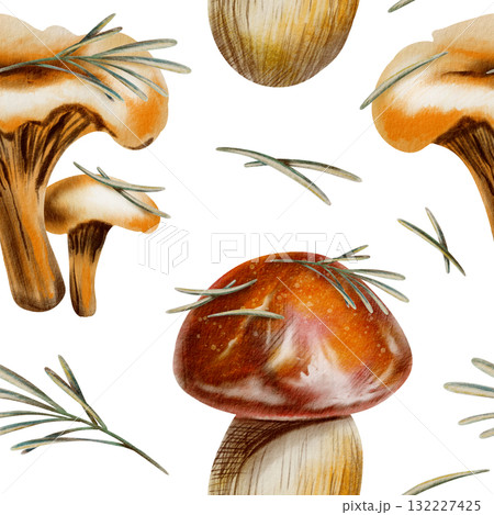 Autumn seamless pattern featuring chanterelles,brown birch boletus,red cap boletus mushrooms with pine needles,serving as symbols of autumn serenity and unity with nature.Watercolor and pencils style 132227425