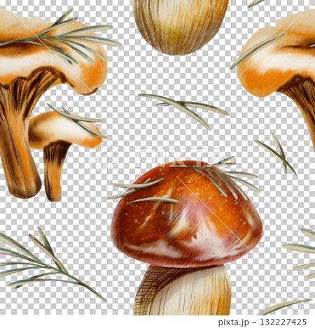 Autumn seamless pattern featuring chanterelles,brown birch boletus,red cap boletus mushrooms with pine needles,serving as symbols of autumn serenity and unity with nature.Watercolor and pencils style 132227425