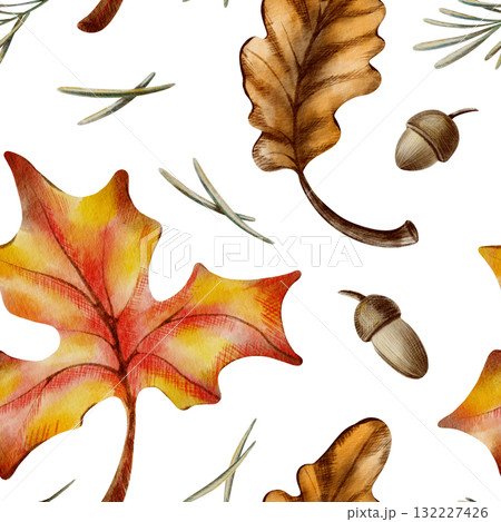 Autumn seamless pattern of maple and oak leaves,with acorns,twigs,and pine needles symbolizing leaf fall,harvest and the withering of nature.Watercolor and pencils illustration 132227426