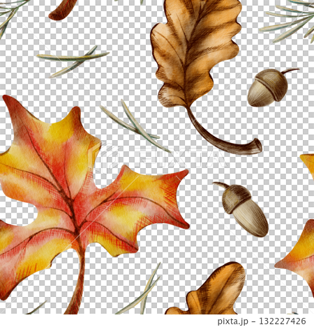 Autumn seamless pattern of maple and oak leaves,with acorns,twigs,and pine needles symbolizing leaf fall,harvest and the withering of nature.Watercolor and pencils illustration 132227426