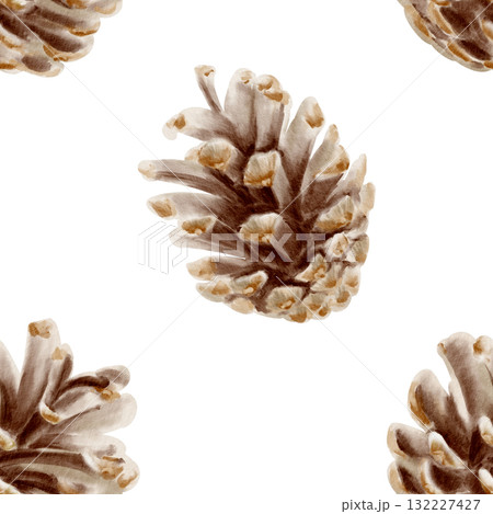 Brown Pine Cones in seamless pattern.Christmas decor in vintage colors for holiday decorations,wrapping paper and textile. Hand drawn watercolor illustrations on white background 132227427