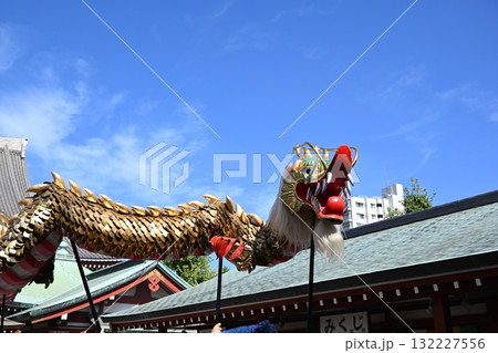 浅草寺の金龍の舞　東京 132227556