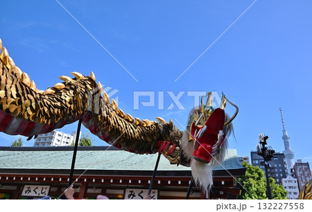 浅草寺の金龍の舞 東京 浅草寺の金龍の舞 東京 132227558
