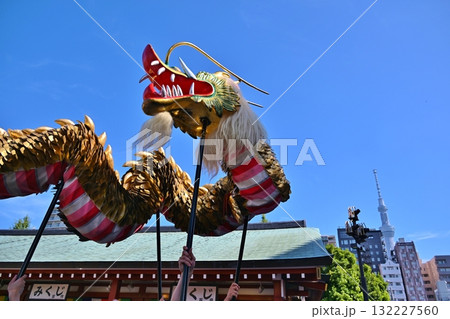 浅草寺の金龍の舞 東京 浅草寺の金龍の舞 東京 132227560