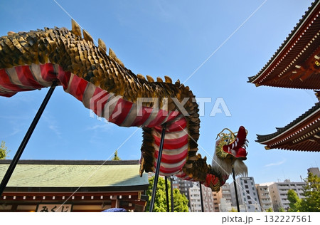浅草寺の金龍の舞 東京 浅草寺の金龍の舞 東京 132227561