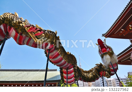 浅草寺の金龍の舞 東京 浅草寺の金龍の舞 東京 132227562