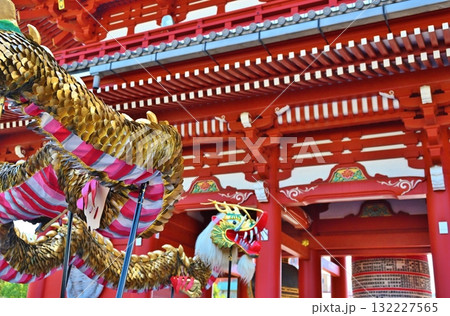 浅草寺の金龍の舞 東京 浅草寺の金龍の舞 東京 132227565