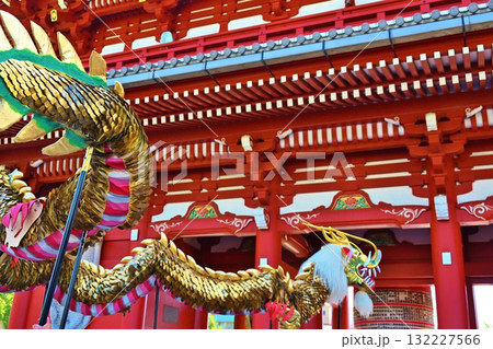 浅草寺の金龍の舞　東京 132227566