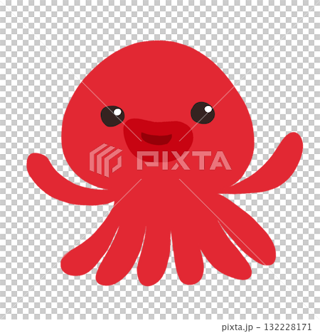 タコのイラスト 132228171