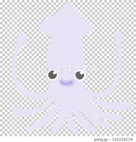 イカのイラスト 132228174