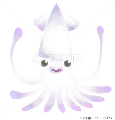 イカのイラスト　水彩風 132228175