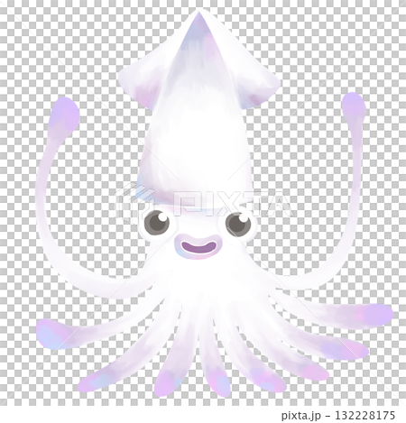イカのイラスト　水彩風 132228175