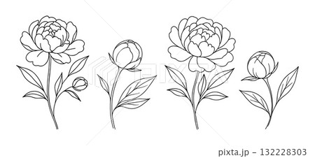 Peony flowers. Botanical Doodle style. Hand drawn black and white isolated icon 132228303