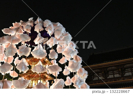 池上本門寺のお会式の万灯練供養　東京 132228667
