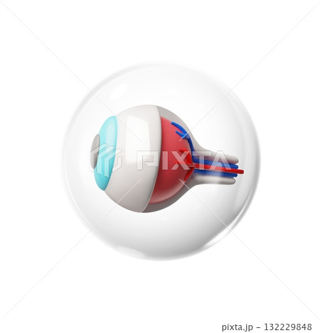 3D human eye, side view, with blood vessels, in a protective round transparent bubble. 132229848