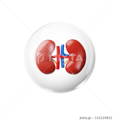 3D human kidneys in a protective bubble, isolated icon. 132229852
