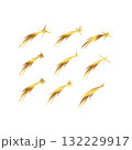 Golden Shooting Stars Collection free 132229917