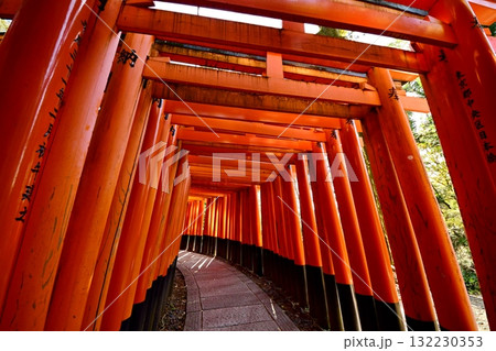 京都府 伏見稲荷大社 千本鳥居(入口付近) 京都市伏見区深草藪之内町 2022 年 2月 京都府 伏見稲荷大社 千本鳥居(入口付近) 京都市伏見区深草藪之内町 2022 年 2月 132230353