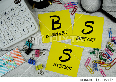 BSS Abbreviation of Business Support System text phrase of business and financial concept BSS Abbreviation of Business Support System text phrase of business and financial concept 132230417