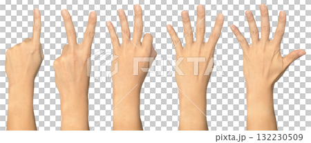 Hand showing one to five on transparent background cutout, PNG file. Mockup template for artwork design. Number sign gestures concept 132230509