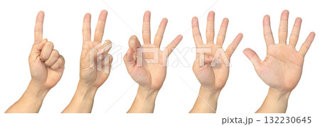 Hand showing one to five on transparent background cutout, PNG file. Mockup template for artwork design. Number sign gestures concept 132230645