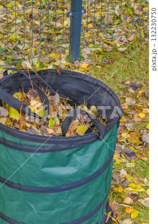 Foldable Garden Bag Filled with Fallen Autumn Leaves After Seasonal Yard Cleaning 132230750
