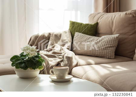 Cozy Living Room with Coffee and African Violet on Table Cozy Living Room with Coffee and African Violet on Table 132230841