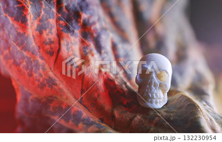 Miniature skulls background. Skull background Miniature skulls background. Skull background 132230954