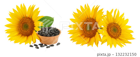 Sunflower with seeds in wooden bowl isolated on a white background Sunflower with seeds in wooden bowl isolated on a white background 132232150