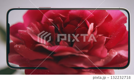 Close-Up Red Rose Framed Within a Smartphone Screen, Vibrant Floral Masterpiece Showing  Creative Phone Display 132232718