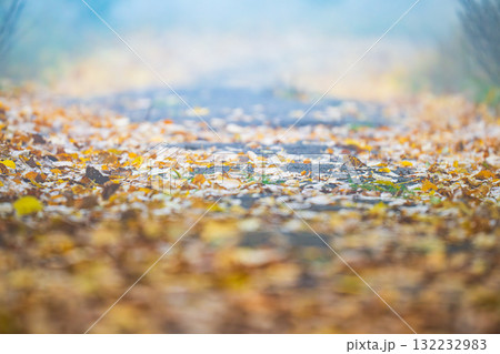 autumn landscape on foggy morning autumn landscape on foggy morning 132232983