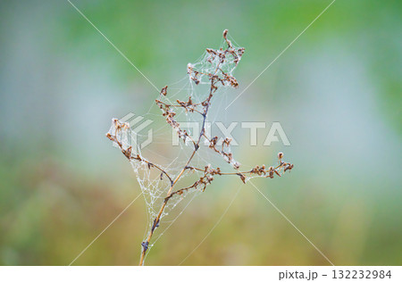 autumn landscape on foggy morning autumn landscape on foggy morning 132232984