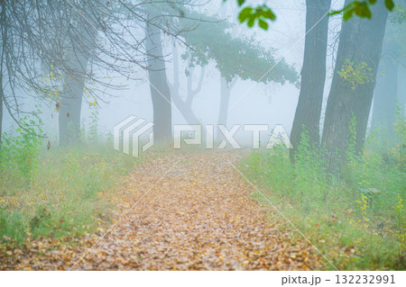 autumn landscape on foggy morning autumn landscape on foggy morning 132232991